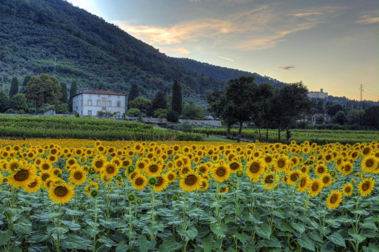 Buonvisi B&B Lucca Exterior foto